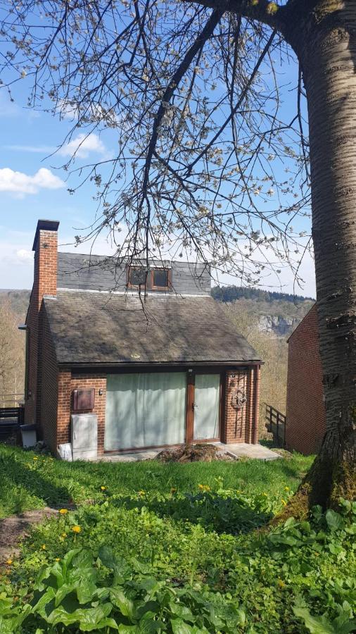 La Cabane D'Helie - Cottage En Pleine Foret - Domaine Du Bonsoy Hastiere-par-dela Exteriér fotografie